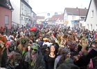 fasnacht2014129
